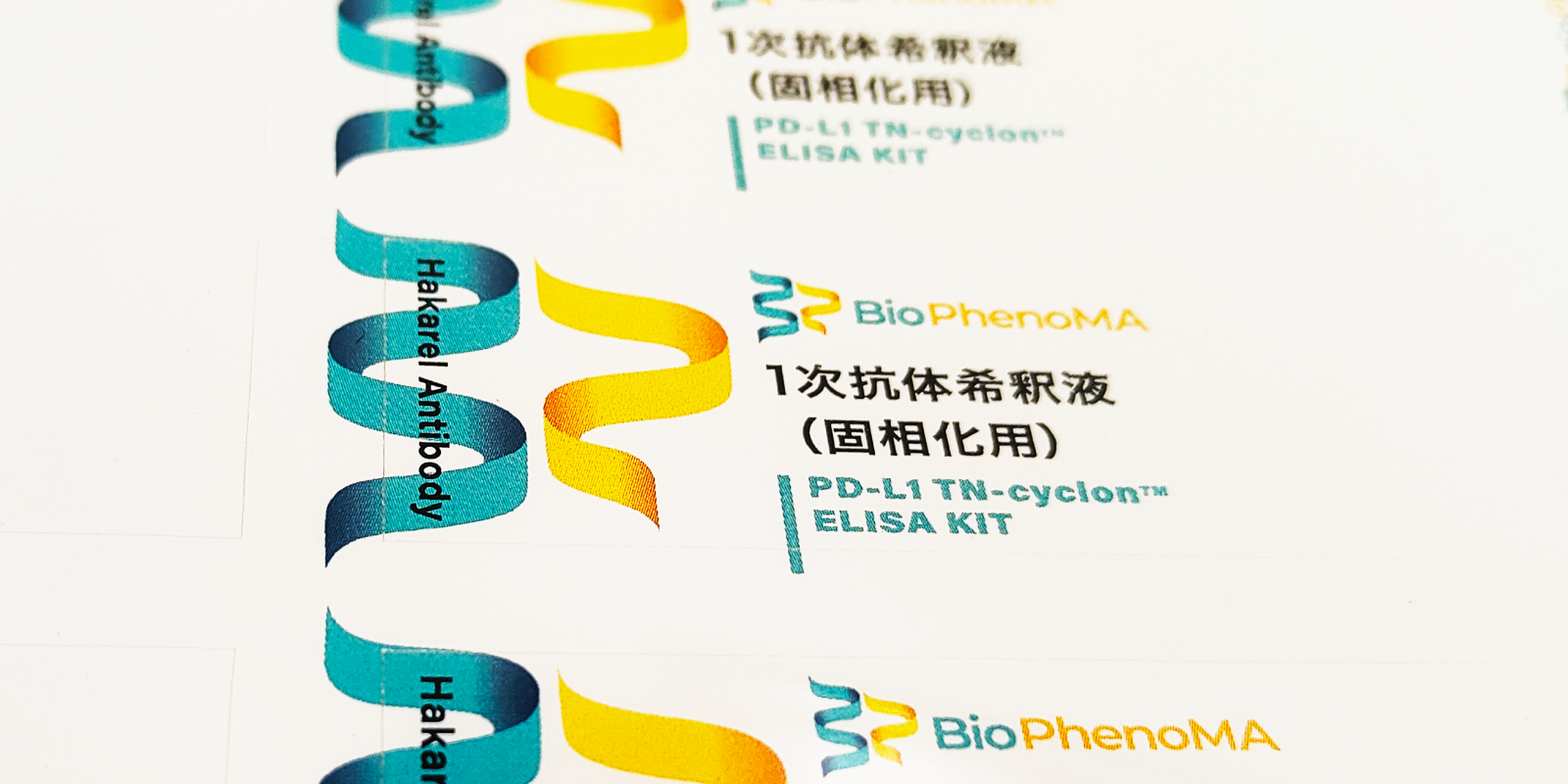 PD-L1 TN-cyclon ELISA KIT